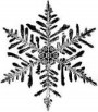 snowflake